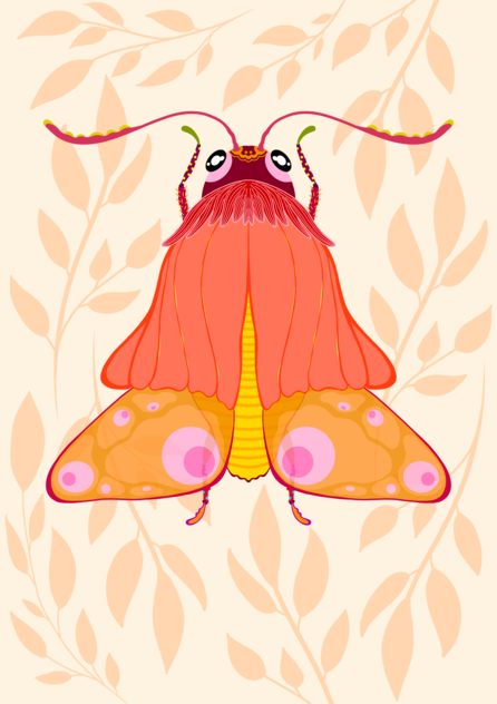 Fluturaș de toamnă