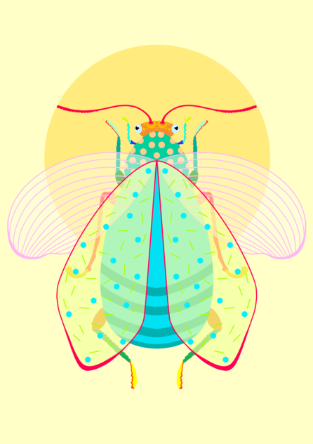 Fluturaș sprintenaș