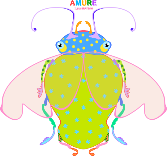 Gândăcelul Bulbucat