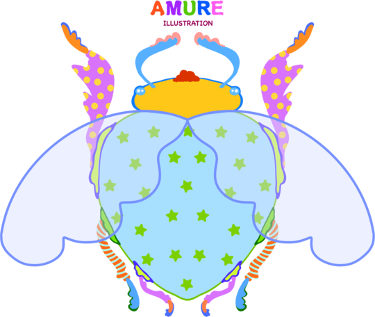 Gândăcelul Îngeraș