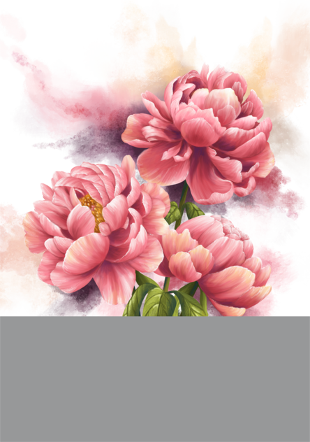 Pink Peonies A4 transparent.