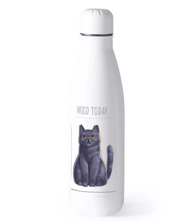 Mood Today: Surprised Bidon Termic din Oțel Inoxidabil