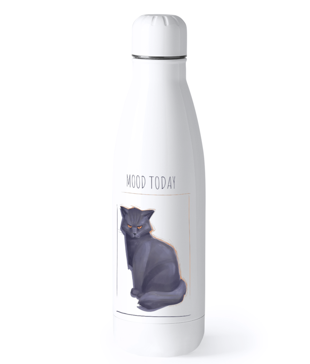 Mood Today: Angry Bidon Termic din Oțel Inoxidabil