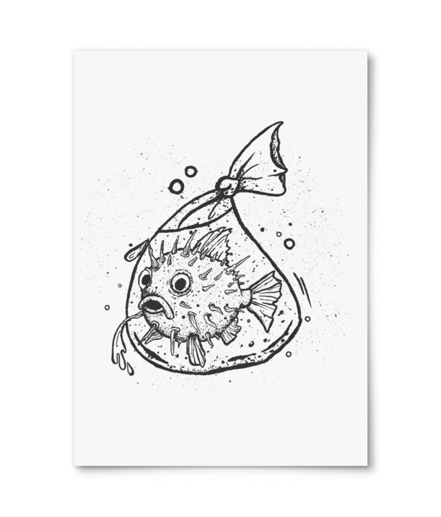 Spicy Fish Photo Matt Fibre 200 | A4 Portrait