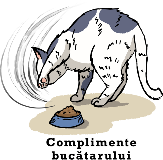 Complimente bucătarului 