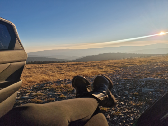 1000094431 1000091628