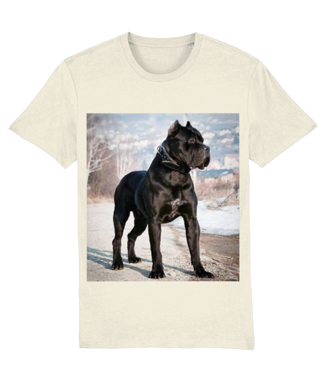 1000096305 Creator 2.0