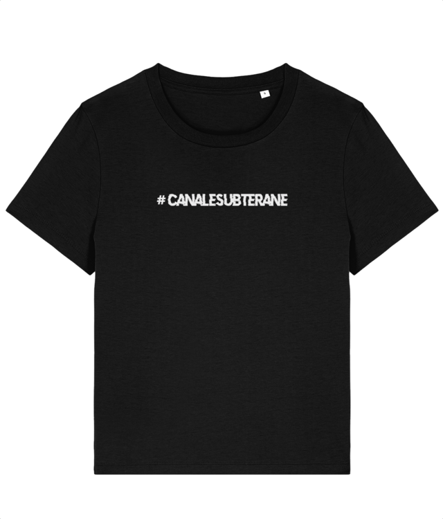 TEXT CIVILIZATIA ASCUNSA Stella Muser STTW172