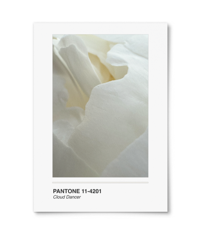 Pantone Cloud Dancer William Turner | A4 Portrait