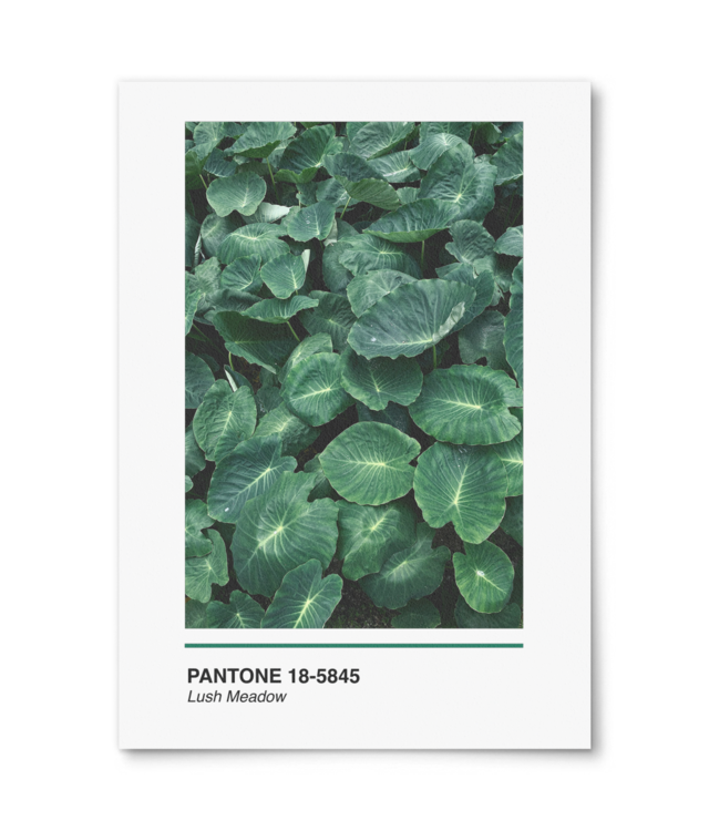 Pantone Lush Meadow William Turner | A4 Portrait