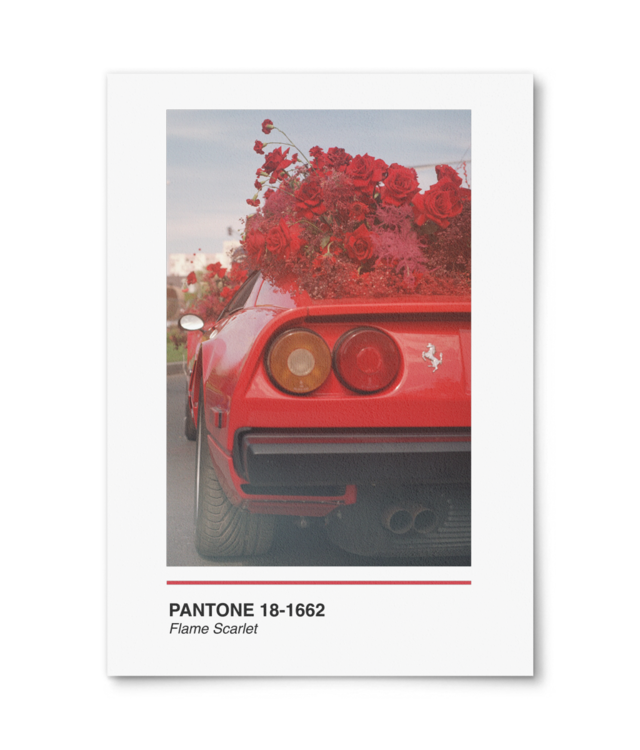 Pantone Flame Scarlet William Turner | A4 Portrait