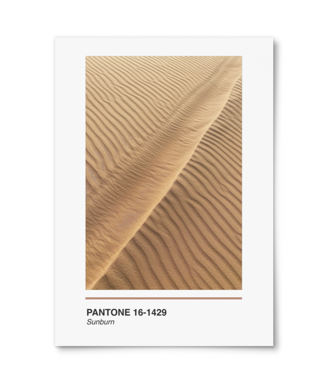 Pantone Sunburn William Turner | A4 Portrait