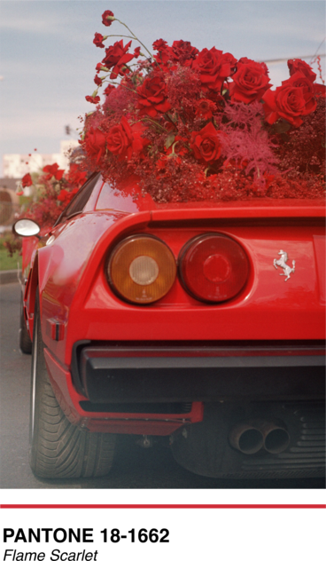 Pantone Flame Scarlet