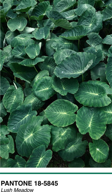 Pantone Lush Meadow