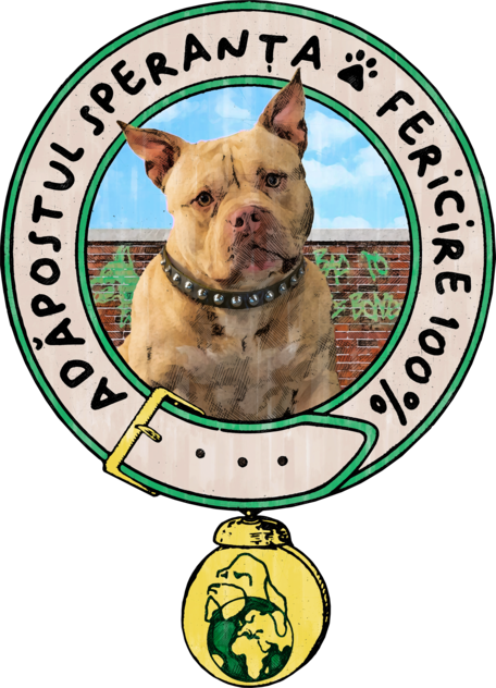 Adapostul Speranta - Roc