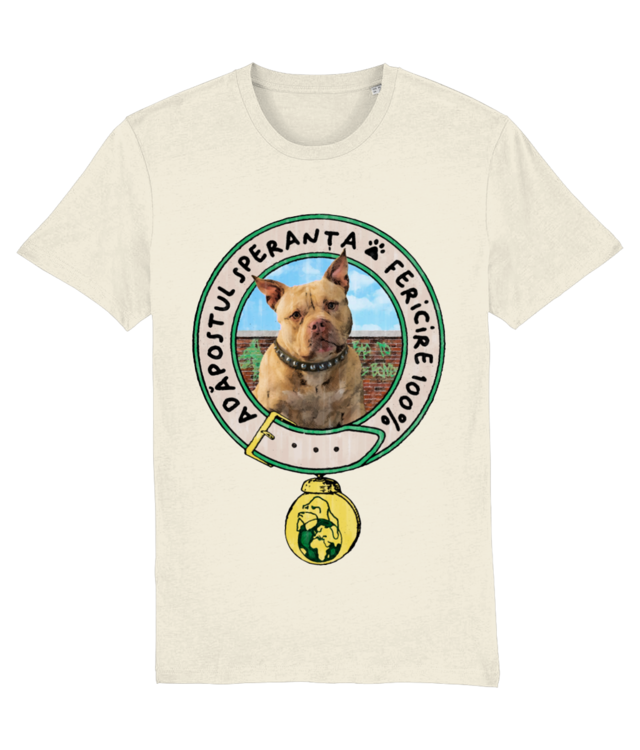 Adapostul Speranta - Roc Creator 2.0 STTU169