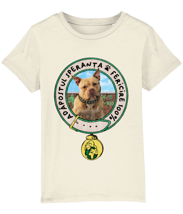 Adapostul Speranta - Roc Mini Creator 2.0