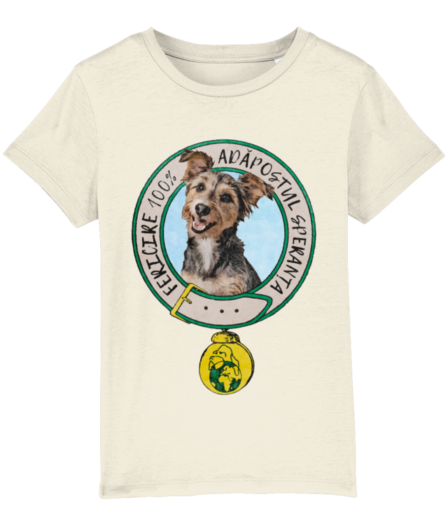 Adapostul Speranta - Fericire Mini Creator 2.0