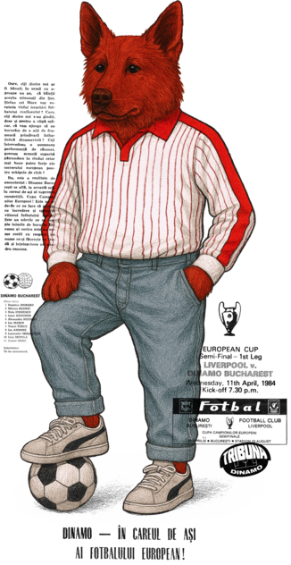 Dog puma transparent