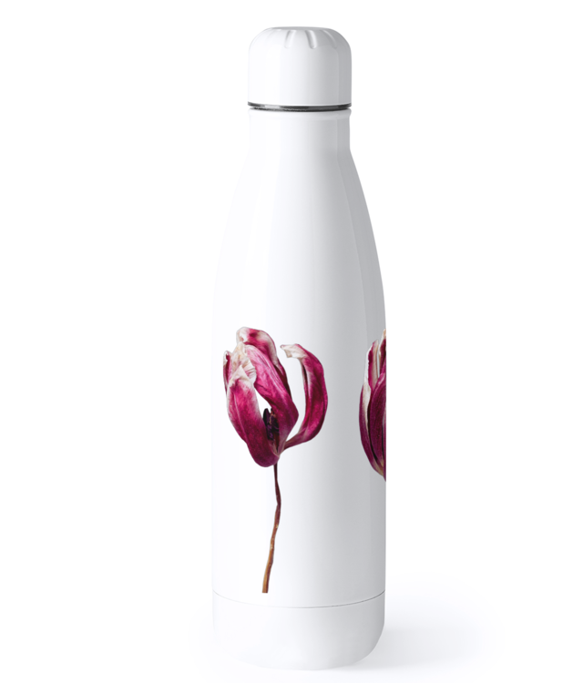 Zamburi cu grai, Tulips, Bidon Termic din Oțel Inoxidabil