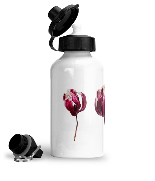 Zamburi cu grai, Tulips, Bidon Sport Din Aluminiu Cu Carabina