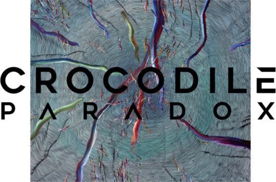 Buzunar - Logo Negru