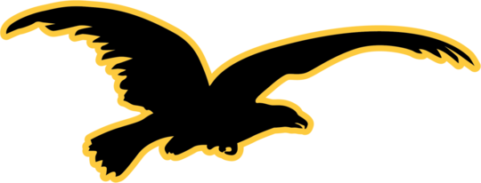 BlackEagleFront-01 BlackEaglePalace 38x50