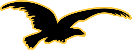 BlackEaglePalace - front and back