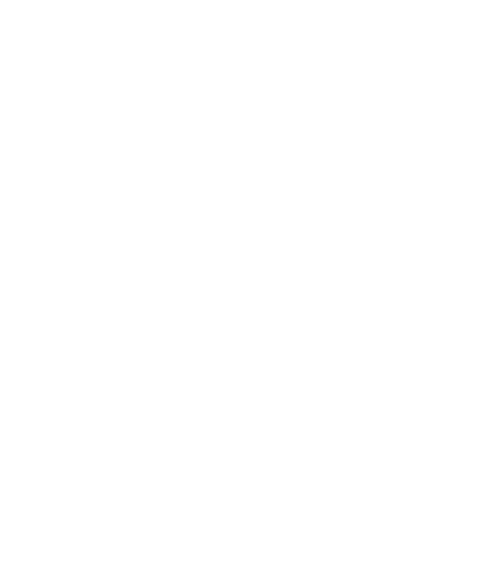 Chief