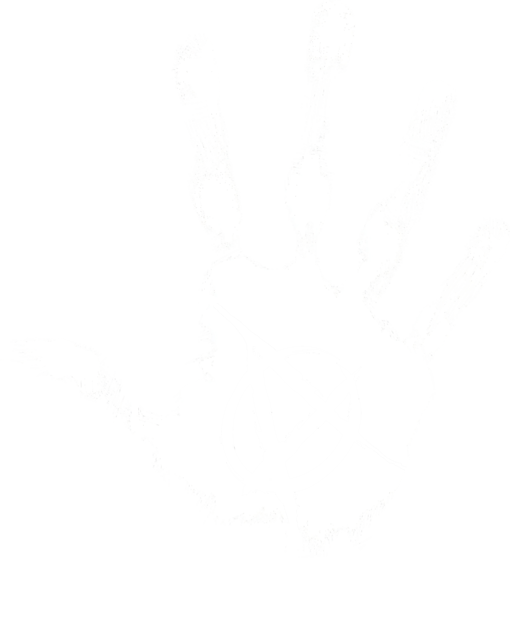 Anarchy