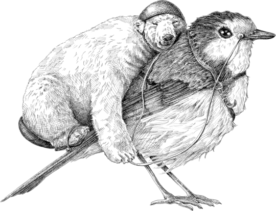 Conquest of Paradise