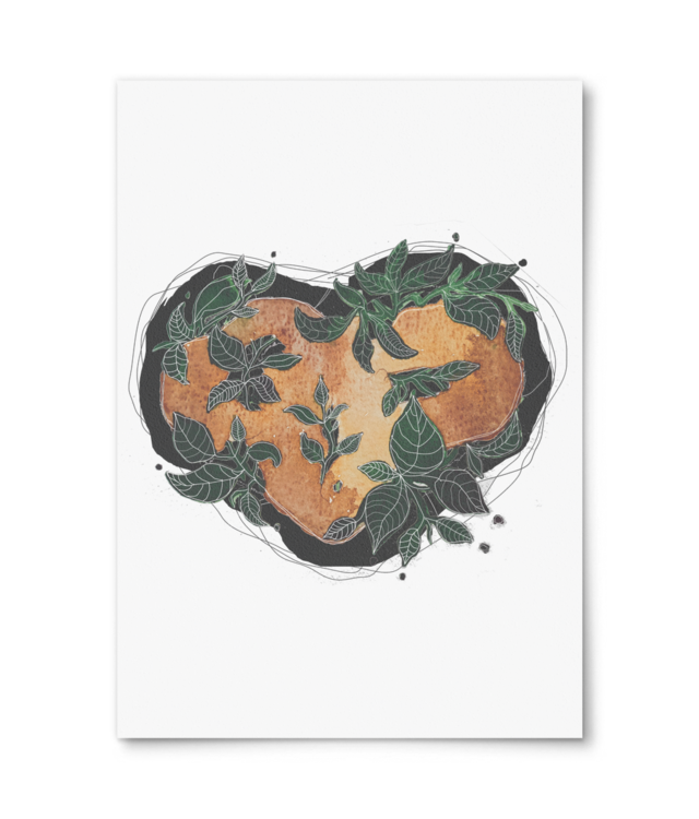 Născut din nou Photo Matt Fibre 200 | A4 Portrait