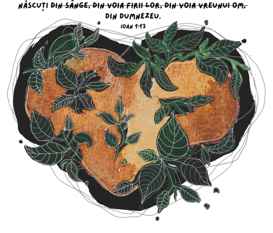 Născut din nou + Verset