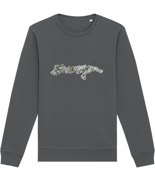 Radu Nițescu / în inima pustiului, la malul Cișmigiului Roller