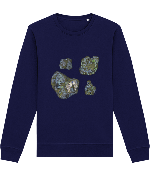 Daniela Luca / Arthur și Maya Roller