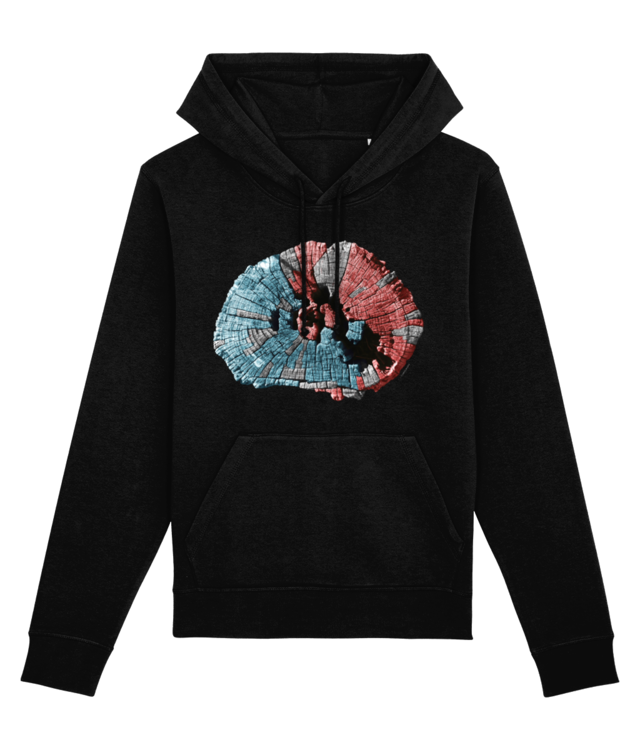 Institutul Blecher 173 // Hoodie