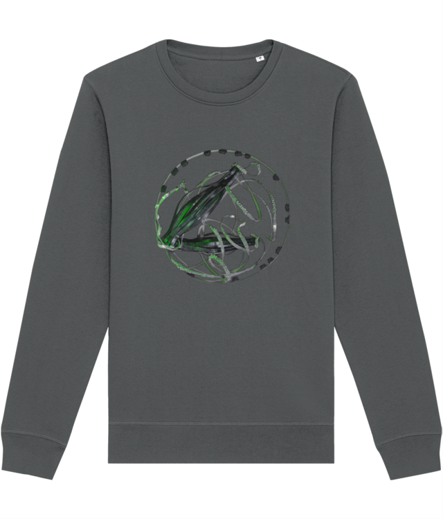 Șerban Mihalache / vom trece de Marte dar nu imediat // Solex