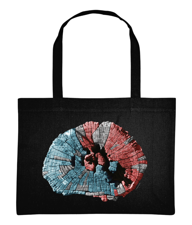 Institutul Blecher 173 // Shopping Bag