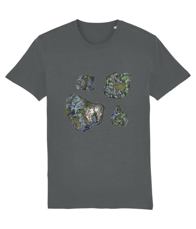 Daniela Luca / Arthur și Maya // Unisex