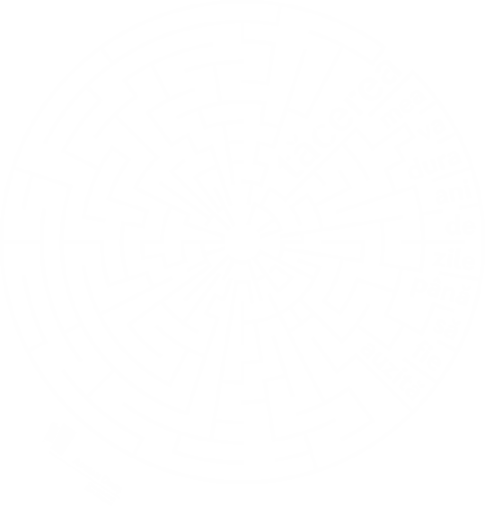 Adrian Diniș / tăcerea