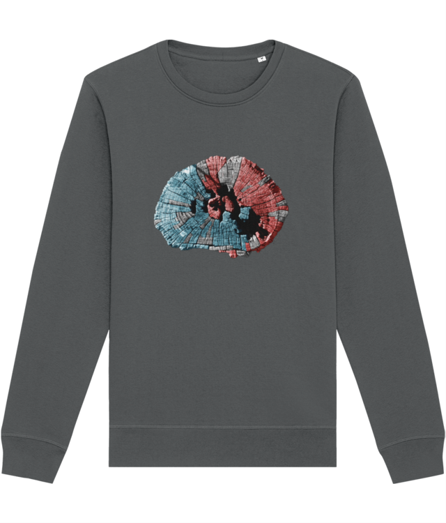 Institutul Blecher 173 // Solex