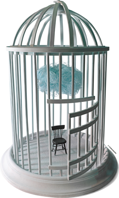 Cristian Popescu / Moartea mea din flori