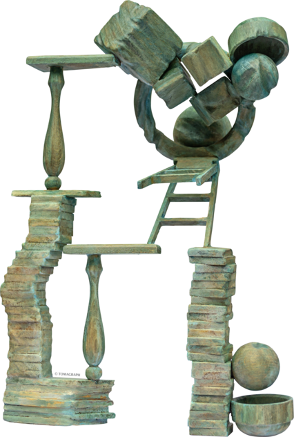 Daniela Vizireanu / nu va ajunge aici dispariția