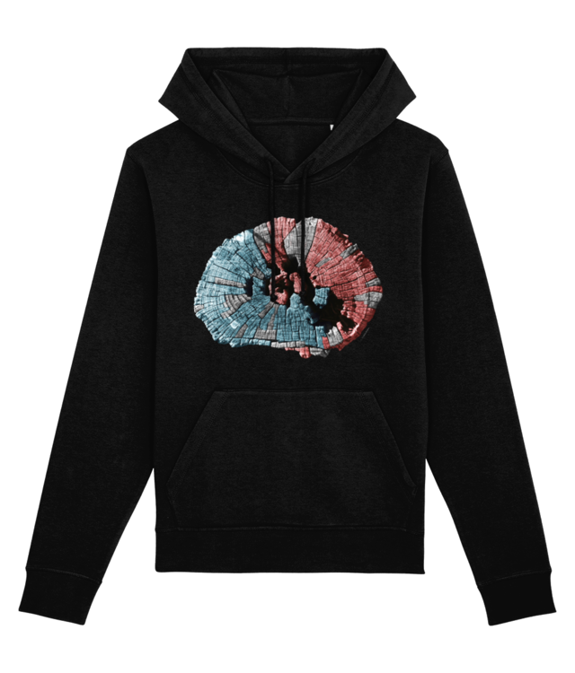Artwork for Institutul Blecher 173 // Hoodie