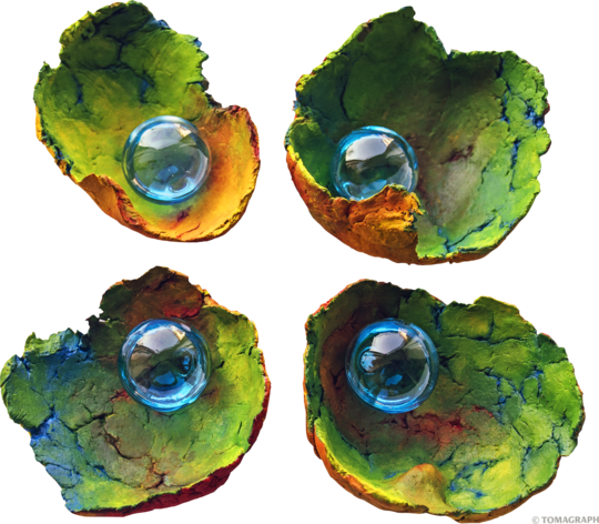 Gheorghi Gospodinov / Înainte să inventez căderea