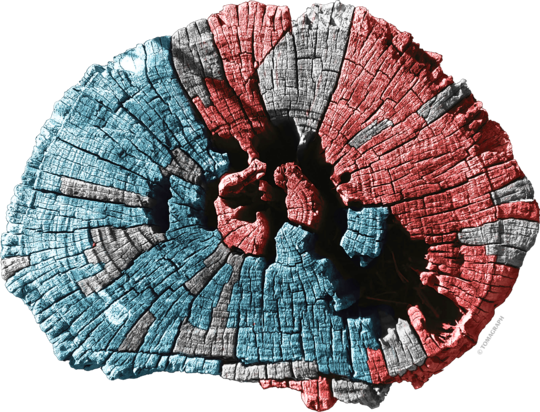 Institutul Blecher 173