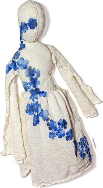 Ligia Keșișian / Anul tigrului de apă