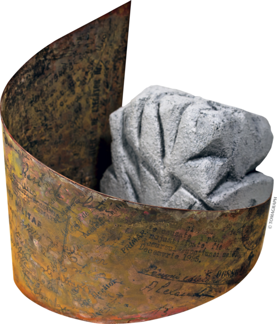 Moni Stănilă / Colonia fabricii