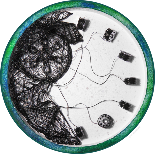 Poesis internațional 24