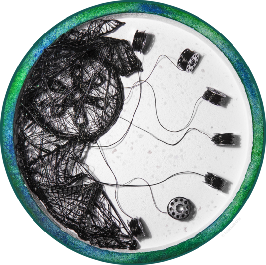 Poesis internațional 24